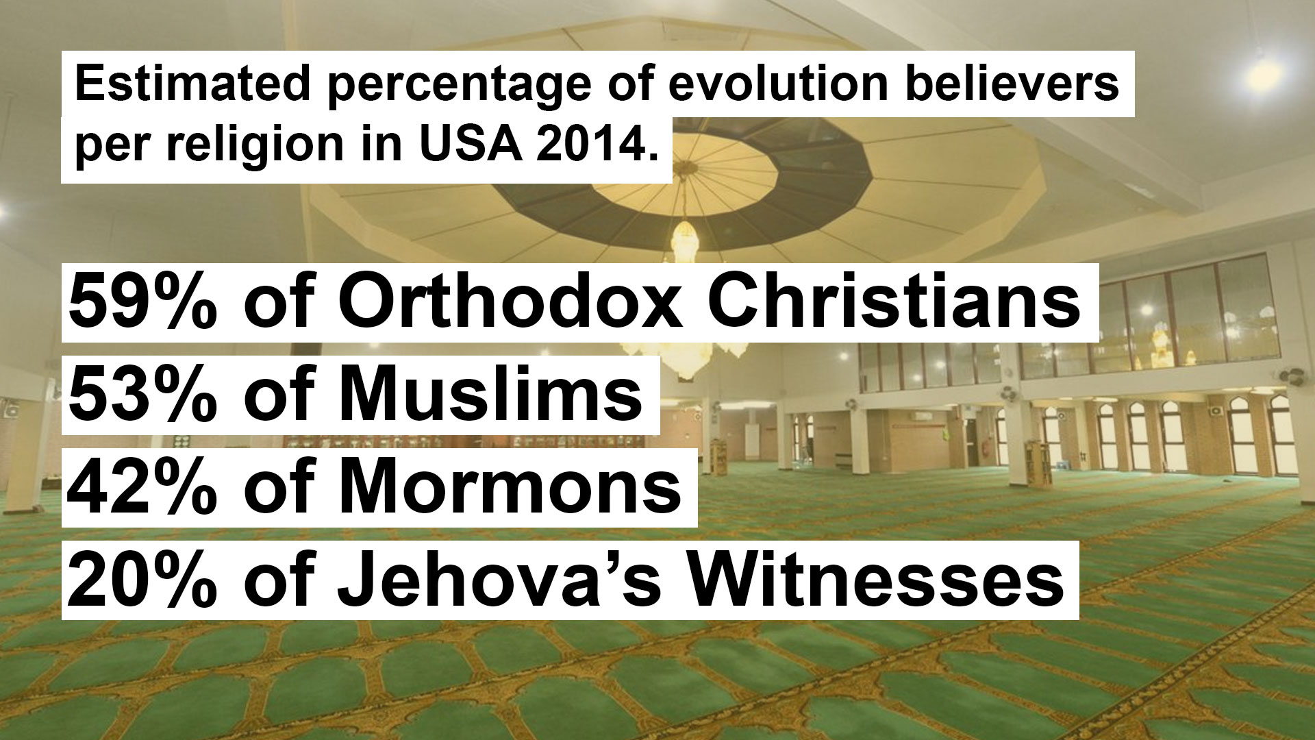 Evolution Statistics